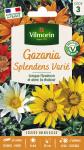 Fleurs - Gazania Splendens Varié - PACKAGING_RECTO